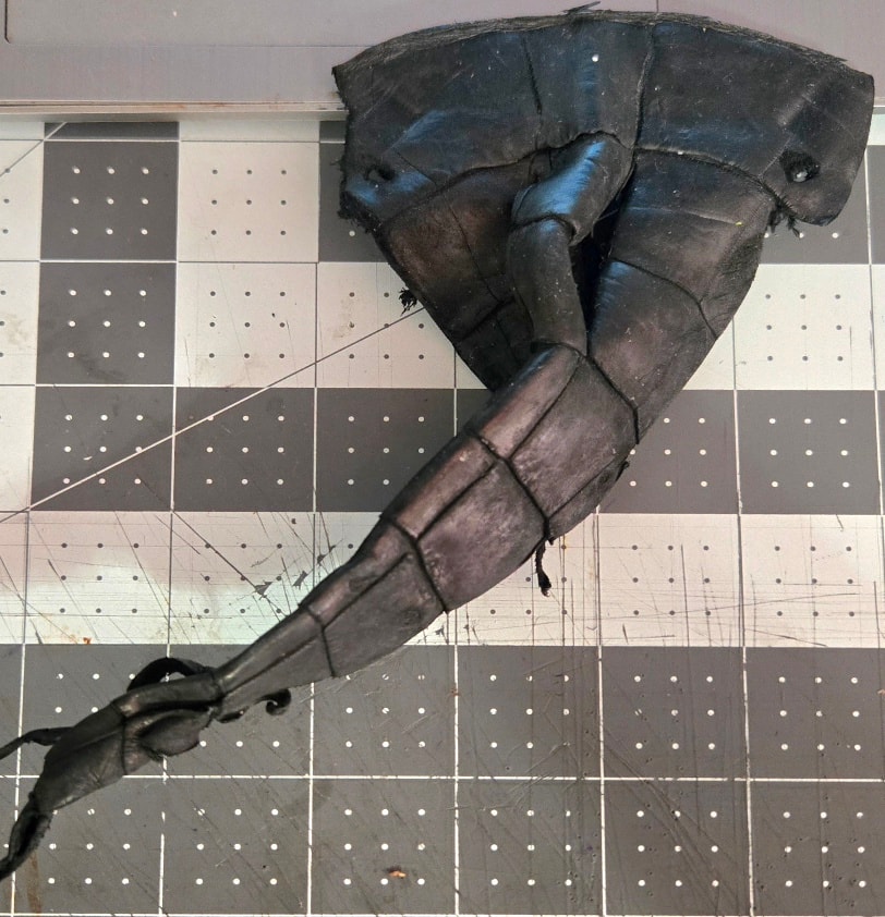 American alligator tail tip — the source hide for this wallet