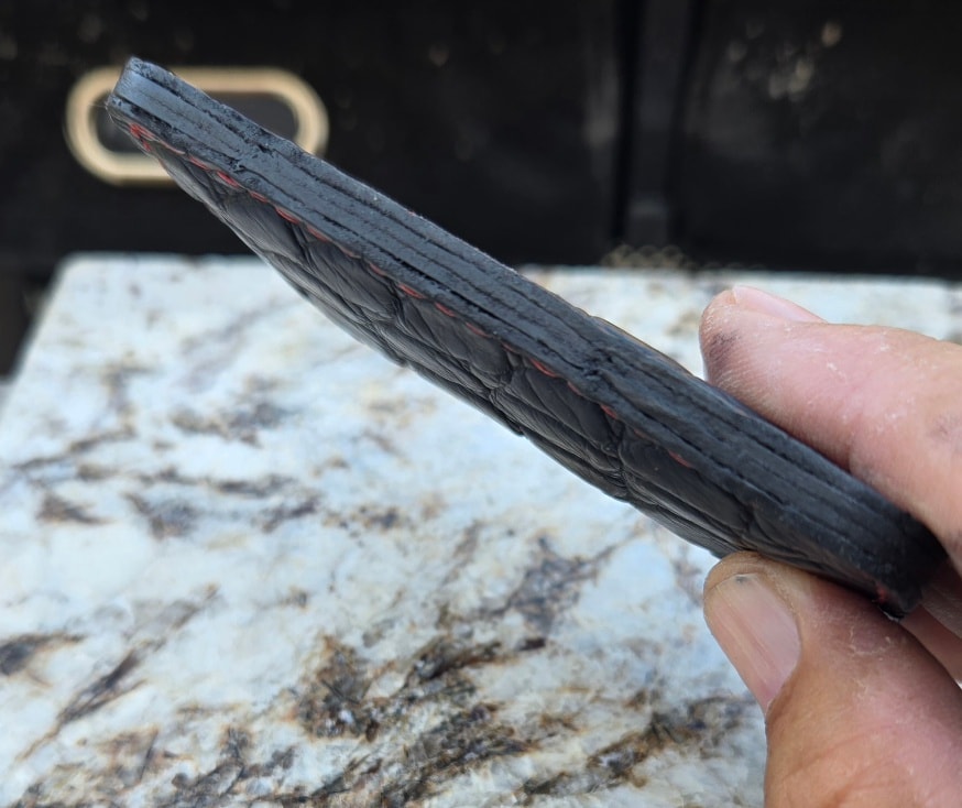 American alligator wallet — open interior showing card slots
