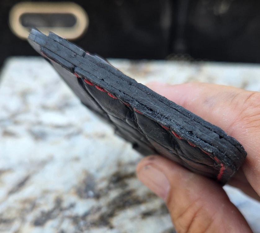 American alligator wallet — hide detail close-up