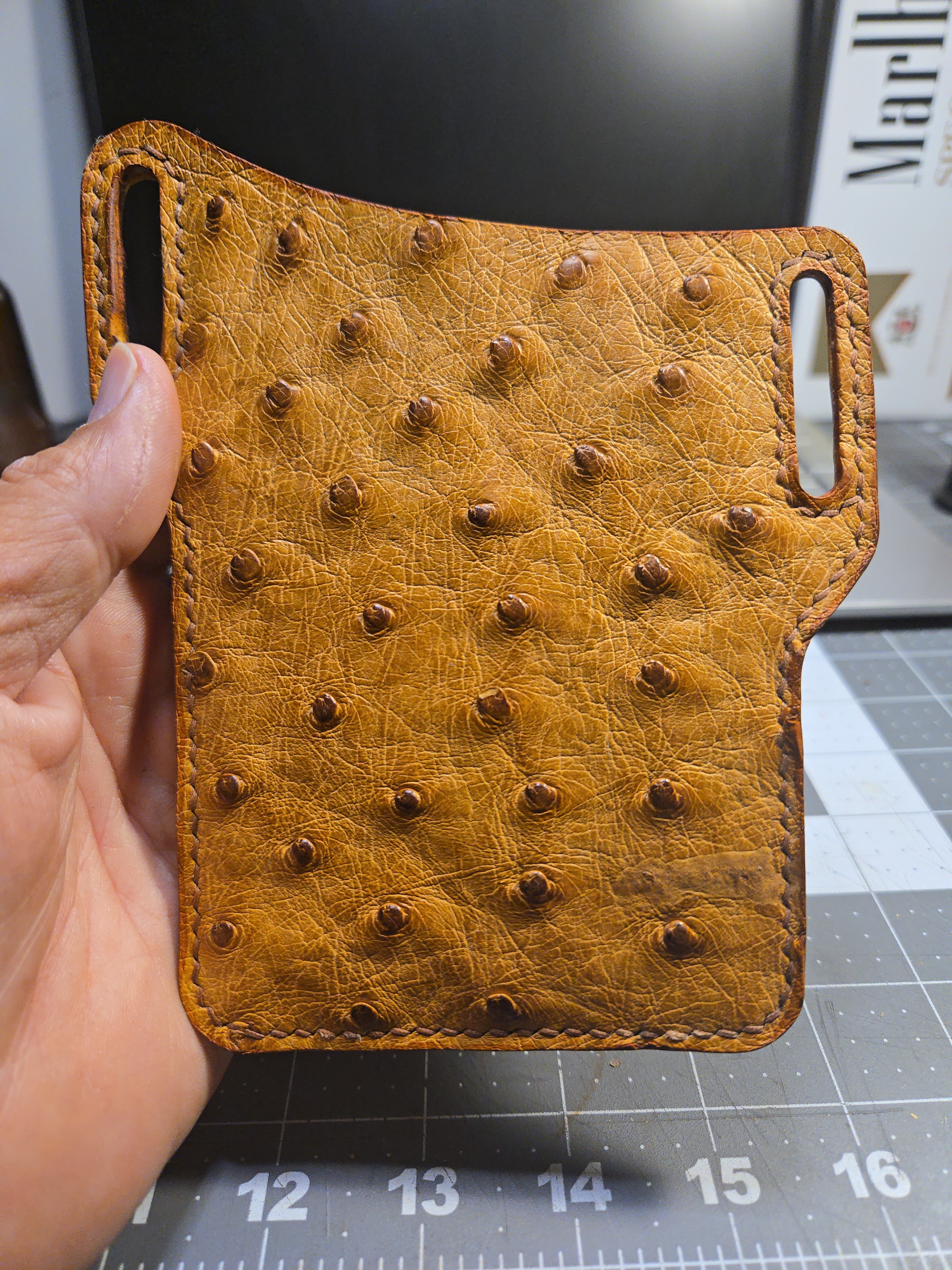 Full-quill ostrich cellphone case — back view
