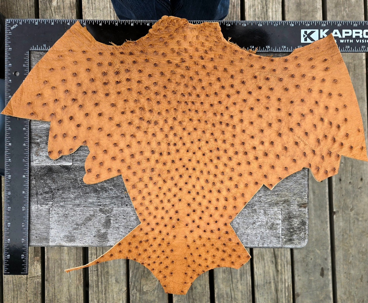 Full-quill ostrich cellphone case — quill texture detail