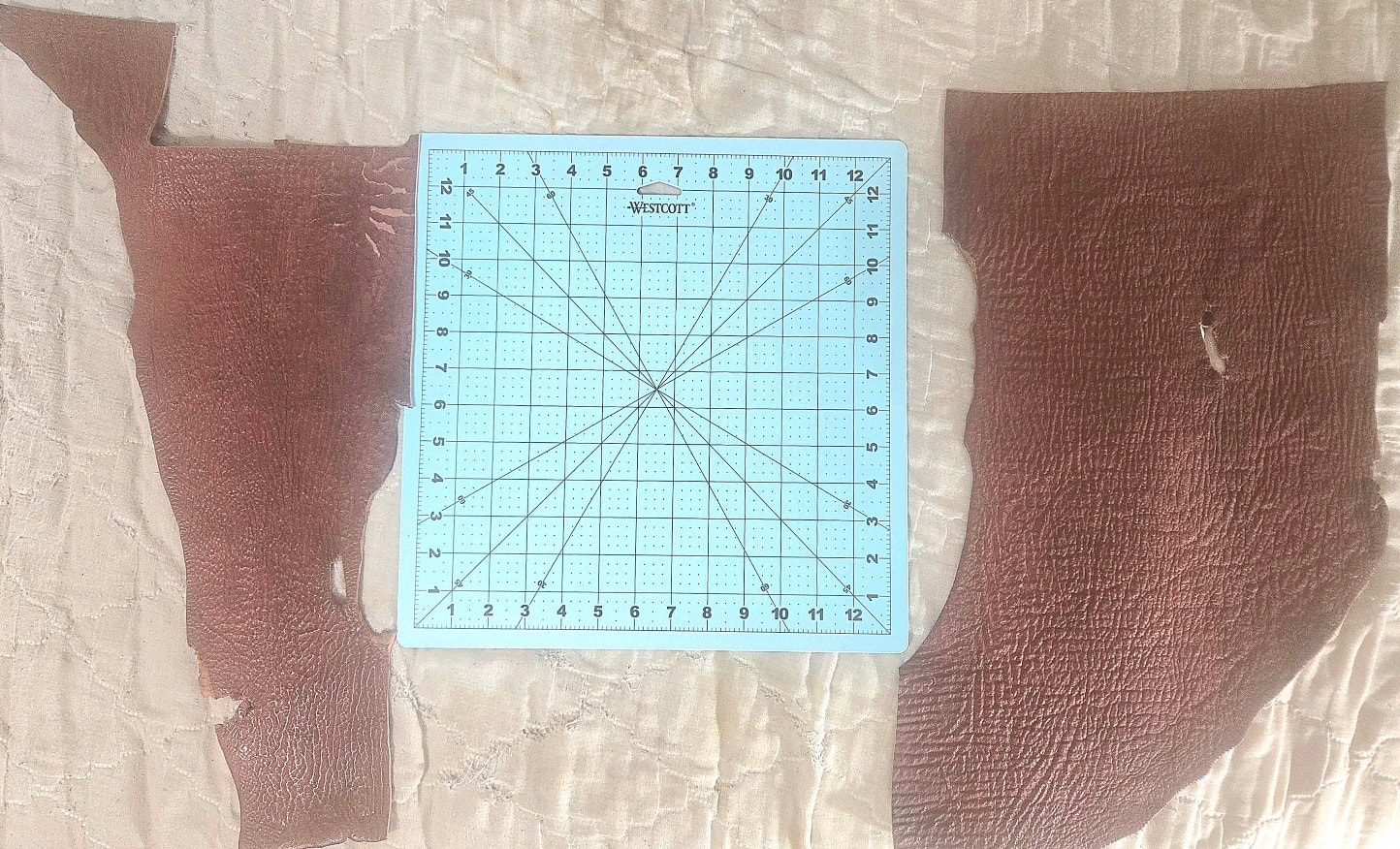 Full cognac shark hide laid flat with cutting mat for scale