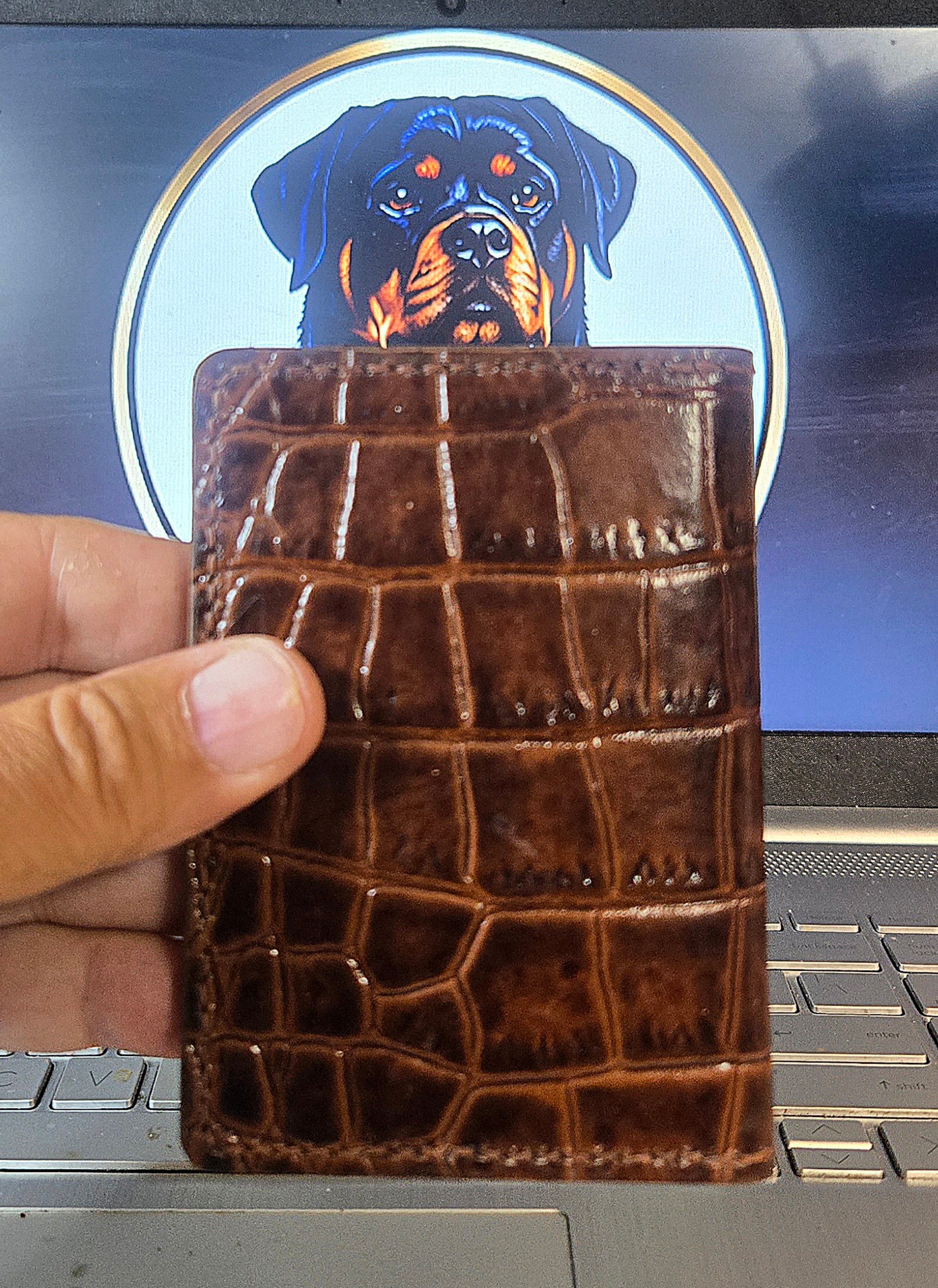 XL1 Mauri croc embossed bifold — interior open with cards loaded