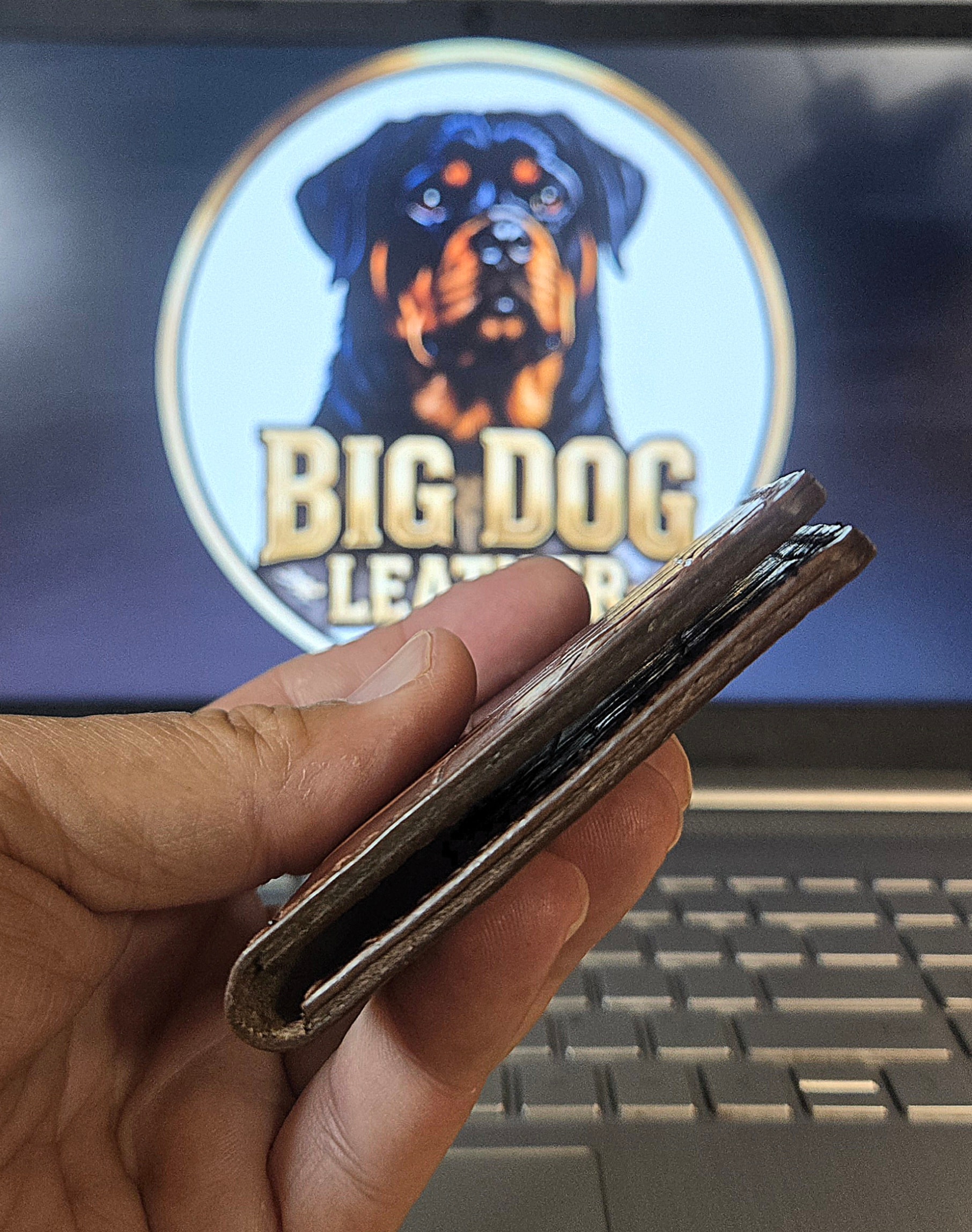 XL1 Mauri croc embossed bifold — exterior front, held up showing scale